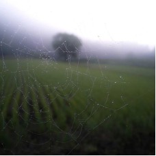 Ударная дрель Metabo ME-2988 (1100 Вт)